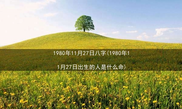 1980年11月27日八字(1980年11月27日出生的人是什么命)