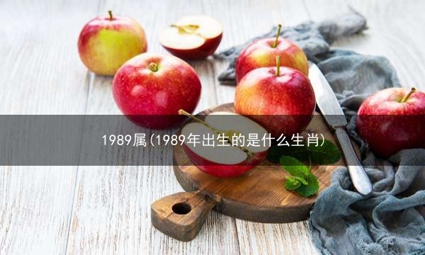 1989属(1989年出生的是什么生肖)