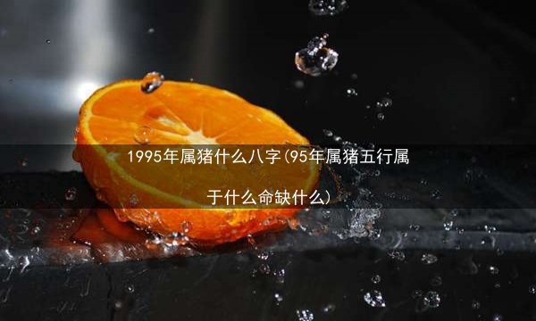 1995年属猪什么八字(95年属猪五行属于什么命缺什么)