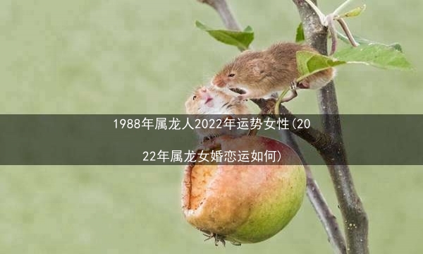 1988年属龙人2022年运势女性(2022年属龙女婚恋运如何)