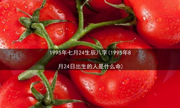 1995年七月24生辰八字(1995年8月24日出生的人是什么命)