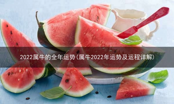 2022属牛的全年运势(属牛2022年运势及运程详解)