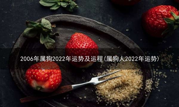 2006年属狗2022年运势及运程(属狗人2022年运势)