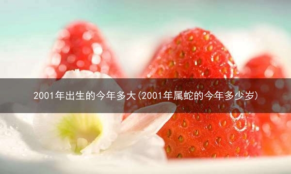 2001年出生的今年多大(2001年属蛇的今年多少岁)