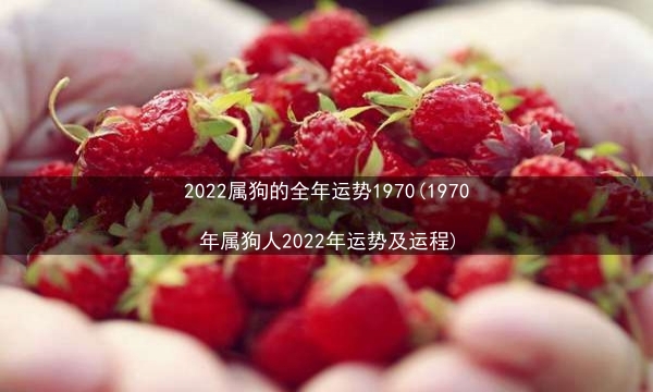 2022属狗的全年运势1970(1970年属狗人2022年运势及运程)