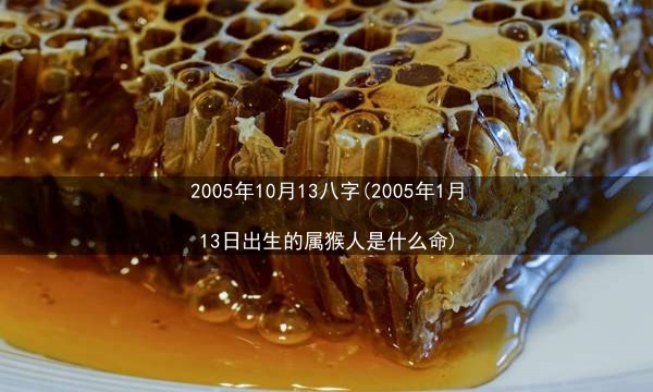 2005年10月13八字(2005年1月13日出生的属猴人是什么命)