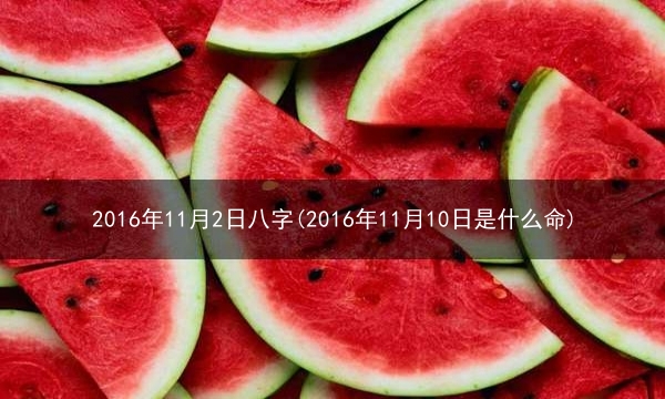 2016年11月2日八字(2016年11月10日是什么命)