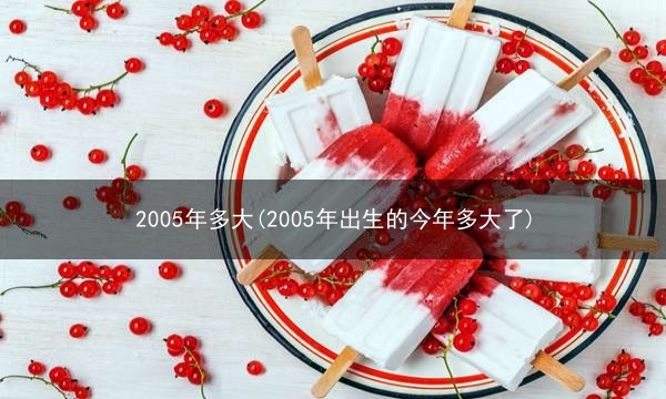 2005年多大(2005年出生的今年多大了)