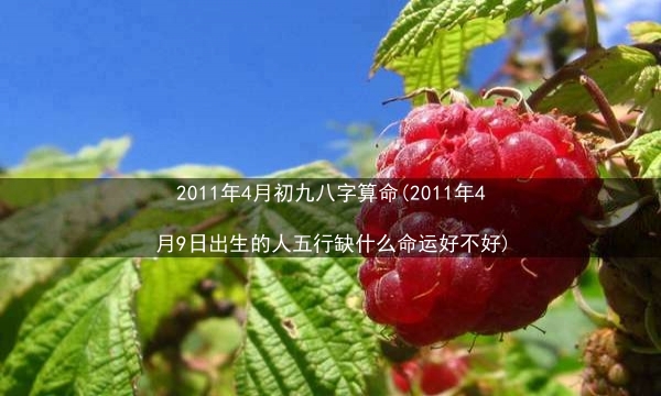 2011年4月初九八字算命(2011年4月9日出生的人五行缺什么命运好不好)