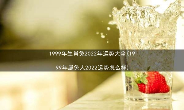 1999年生肖兔2022年运势大全(1999年属兔人2022运势怎么样)