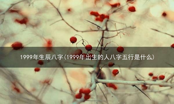 1999年生辰八字(1999年出生的人八字五行是什么)