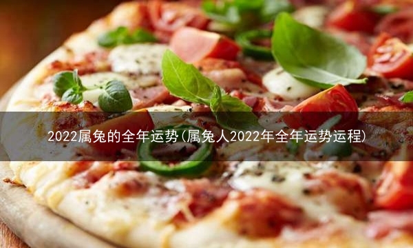 2022属兔的全年运势(属兔人2022年全年运势运程)