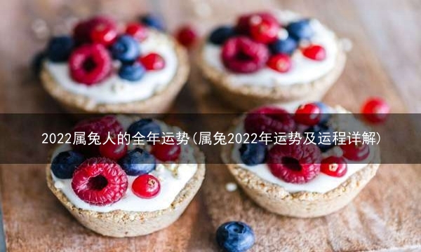 2022属兔人的全年运势(属兔2022年运势及运程详解)