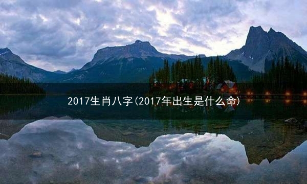 2017生肖八字(2017年出生是什么命)