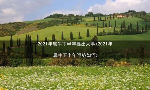 2021年属牛下半年要出大事(2021年属牛下半年运势如何)