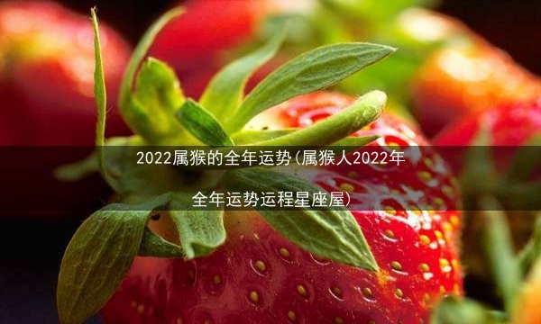 2022属猴的全年运势(属猴人2022年全年运势运程星座屋)