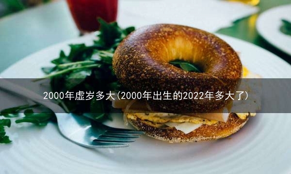 2000年虚岁多大(2000年出生的2022年多大了)