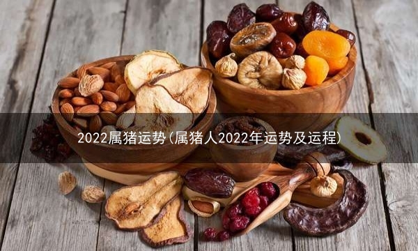 2022属猪运势(属猪人2022年运势及运程)