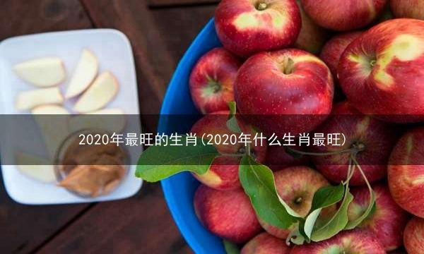 2020年最旺的生肖(2020年什么生肖最旺)