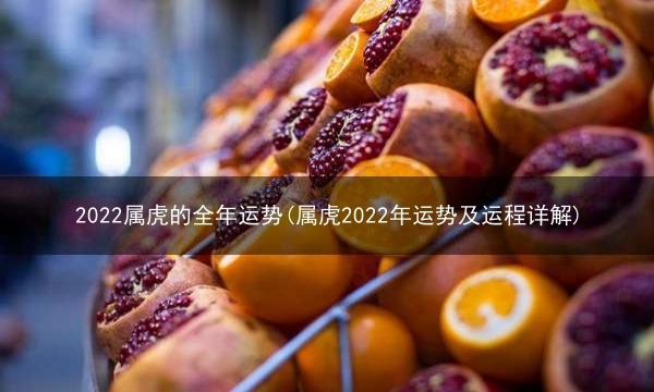 2022属虎的全年运势(属虎2022年运势及运程详解)