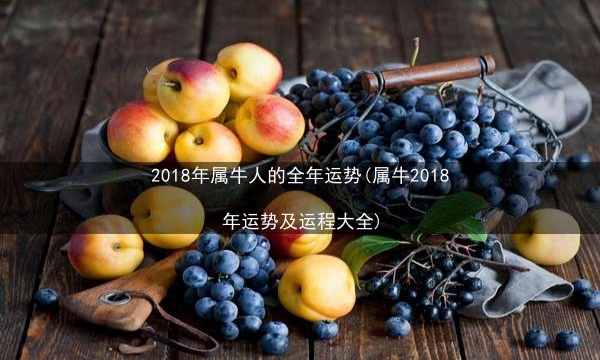 2018年属牛人的全年运势(属牛2018年运势及运程大全)