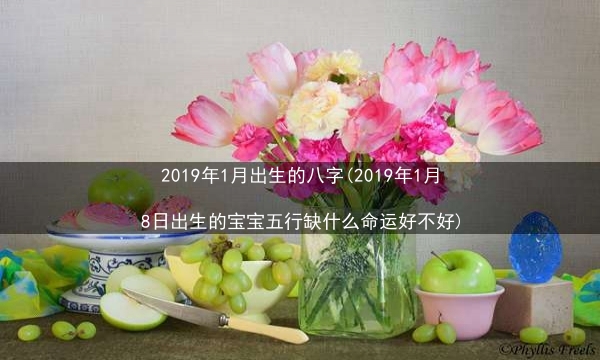 2019年1月出生的八字(2019年1月8日出生的宝宝五行缺什么命运好不好)