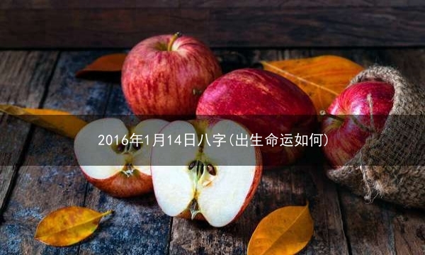 2016年1月14日 八字(出生命运如何)