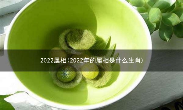 2022属相(2022年的属相是什么生肖)