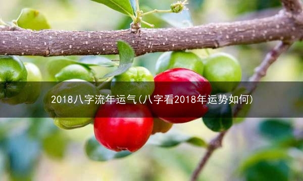 2018八字流年运气(八字看2018年运势如何)