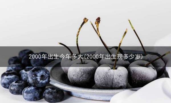 2000年出生今年多大(2000年出生现多少岁)