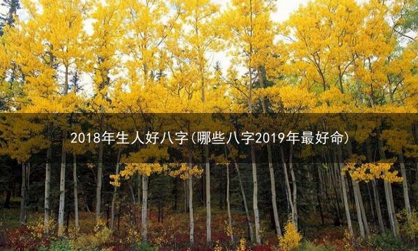 2018年生人好八字(哪些八字2019年最好命)