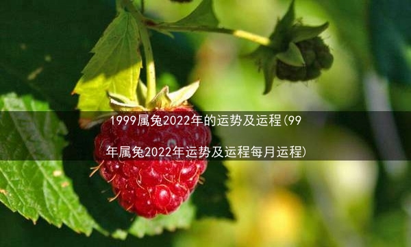 1999属兔2022年的运势及运程(99年属兔2022年运势及运程每月运程)