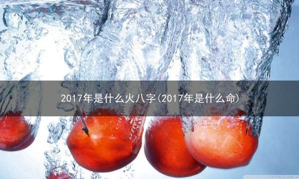 2017 年是什么火八字(2017年是什么命)