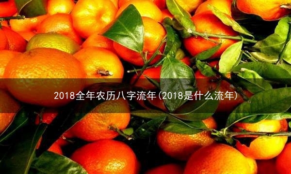 2018全年农历八字流年(2018是什么流年)