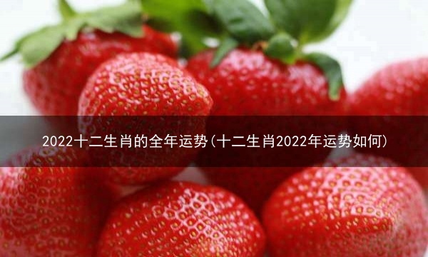 2022十二生肖的全年运势(十二生肖2022年运势如何)