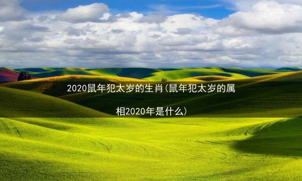 2020鼠年犯太岁的生肖(鼠年犯太岁的属相2020年是什么)