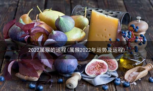 2022属猴的运程(属猴2022年运势及运程)