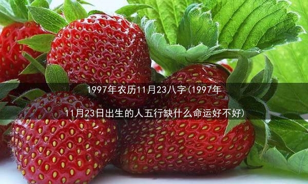 1997年农历11月23八字(1997年11月23日出生的人五行缺什么命运好不好)