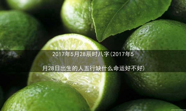 2017年5月28辰时八字(2017年5月28日出生的人五行缺什么命运好不好)