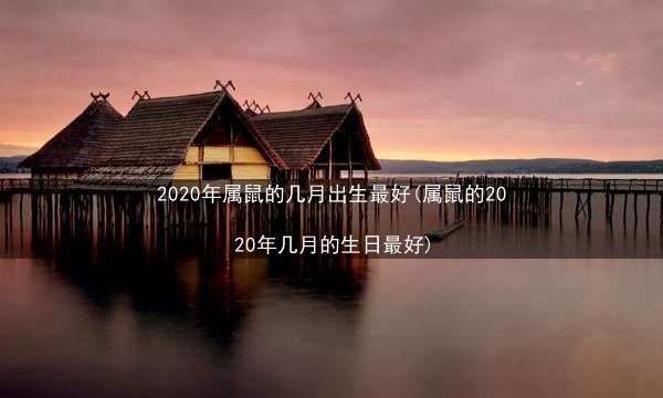 2020年属鼠的几月出生最好(属鼠的2020年几月的生日最好)