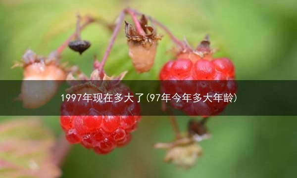 1997年现在多大了(97年今年多大年龄)