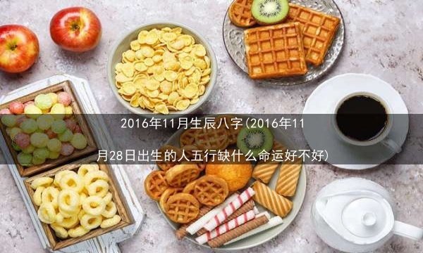 2016年11月生辰八字(2016年11月28日出生的人五行缺什么命运好不好)