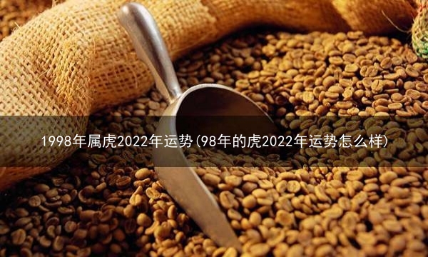 1998年属虎2022年运势(98年的虎2022年运势怎么样)