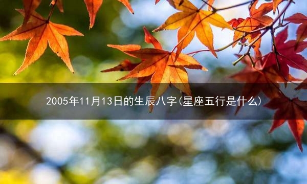 2005年11月13日的生辰八字(星座五行是什么)