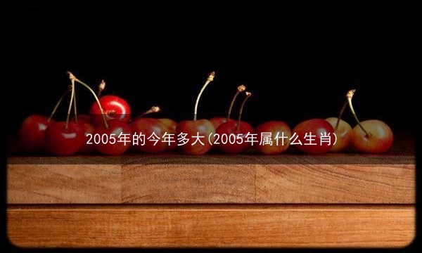 2005年的今年多大(2005年属什么生肖)