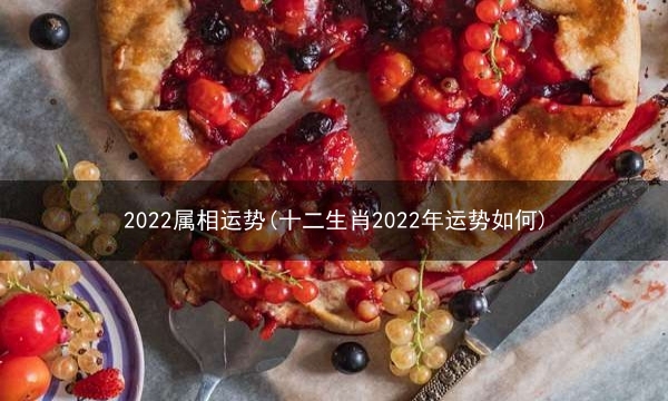 2022属相运势(十二生肖2022年运势如何)