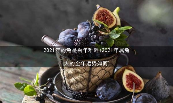 2021年的兔是百年难遇(2021年属兔人的全年运势如何)