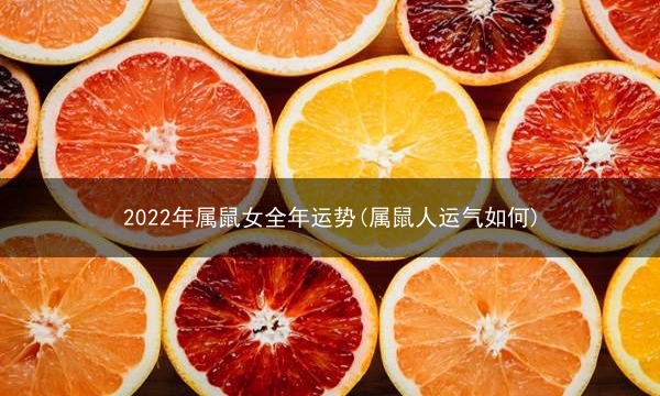 2022年属鼠女全年运势(属鼠人运气如何)