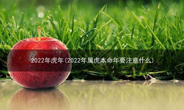 2022年虎年(2022年属虎本命年要注意什么)