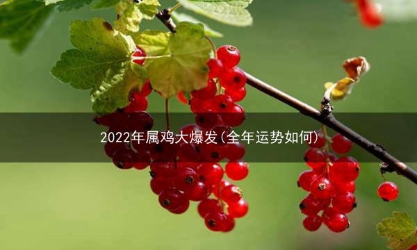 2022年属鸡大爆发(全年运势如何)